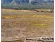 1074 Springmount Road, Mutchilba QLD 4872
