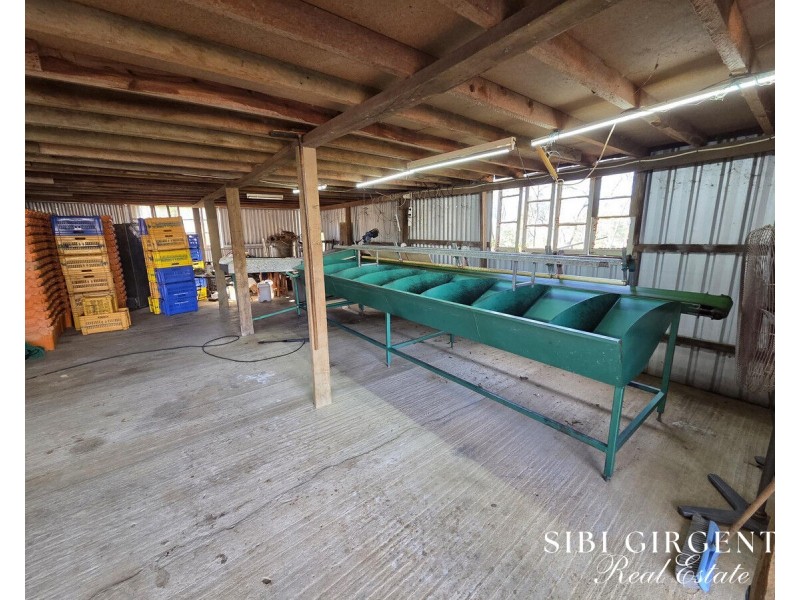 1074 Springmount Road, Mutchilba QLD 4872