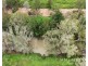 1074 Springmount Road, Mutchilba QLD 4872