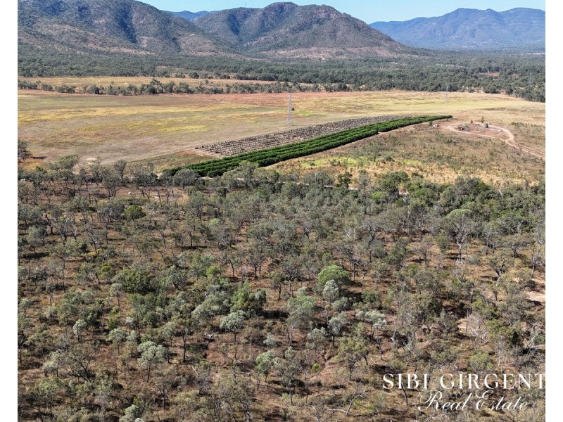 1074 Springmount Road, Mutchilba QLD 4872
