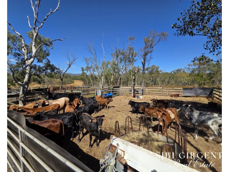 1074 Springmount Road, Mutchilba QLD 4872