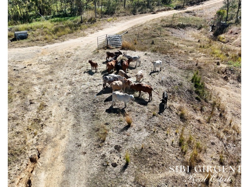 1074 Springmount Road, Mutchilba QLD 4872