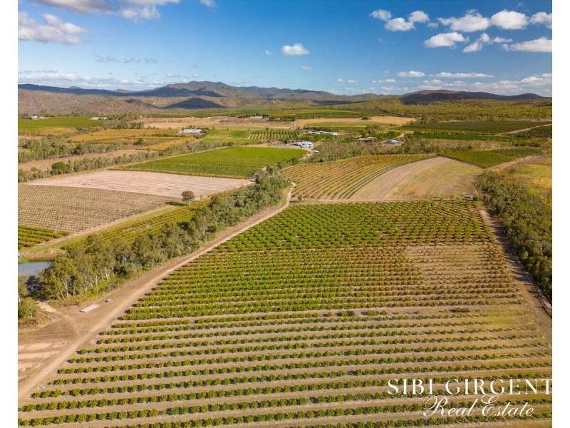 111 McLeod Road, Mutchilba QLD 4872