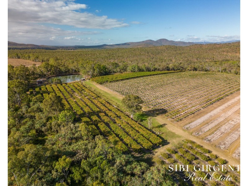 111 McLeod Road, Mutchilba QLD 4872