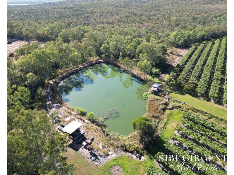 111 McLeod Road, Mutchilba QLD 4872