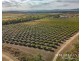 111 McLeod Road, Mutchilba QLD 4872
