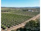 111 McLeod Road, Mutchilba QLD 4872