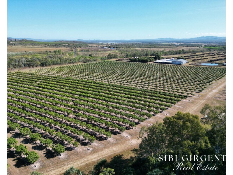 111 McLeod Road, Mutchilba QLD 4872