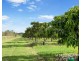111 McLeod Road, Mutchilba QLD 4872