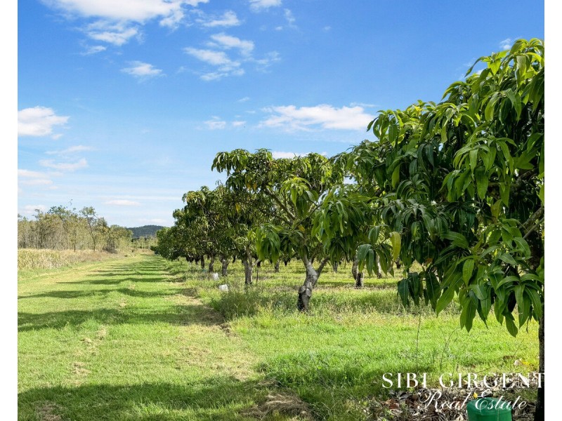 111 McLeod Road, Mutchilba QLD 4872