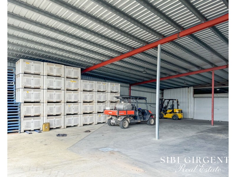 111 McLeod Road, Mutchilba QLD 4872