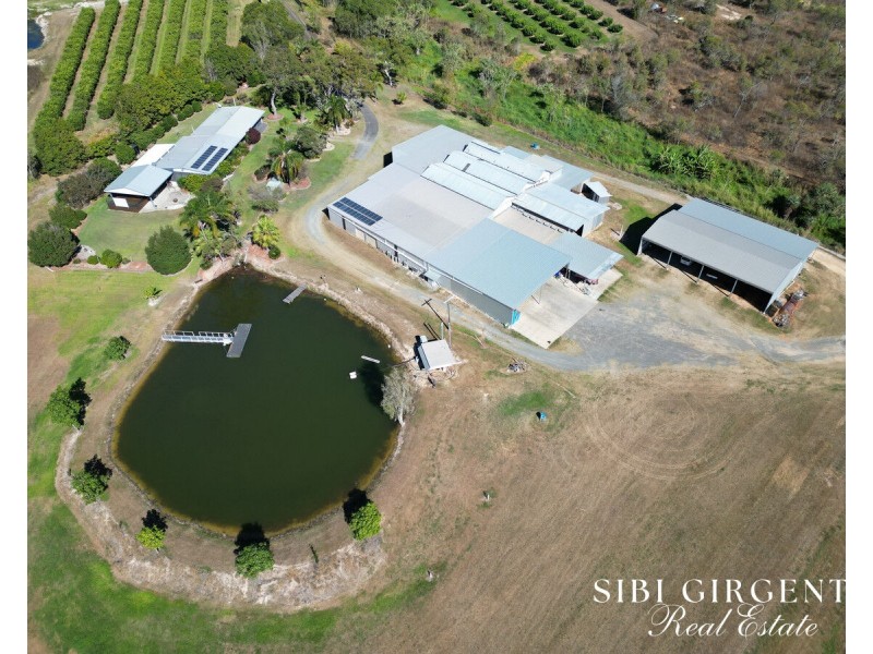 111 McLeod Road, Mutchilba QLD 4872