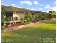 111 McLeod Road, Mutchilba QLD 4872
