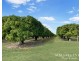 111 McLeod Road, Mutchilba QLD 4872