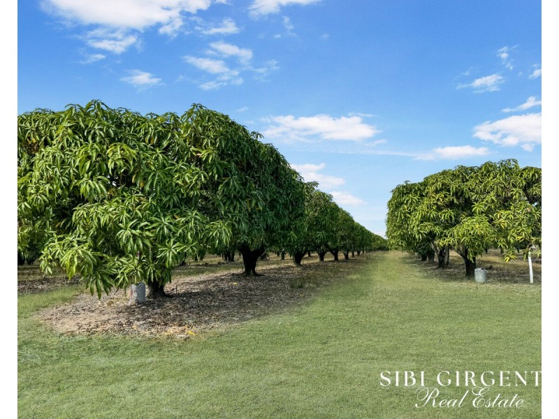 111 McLeod Road, Mutchilba QLD 4872
