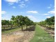 111 McLeod Road, Mutchilba QLD 4872