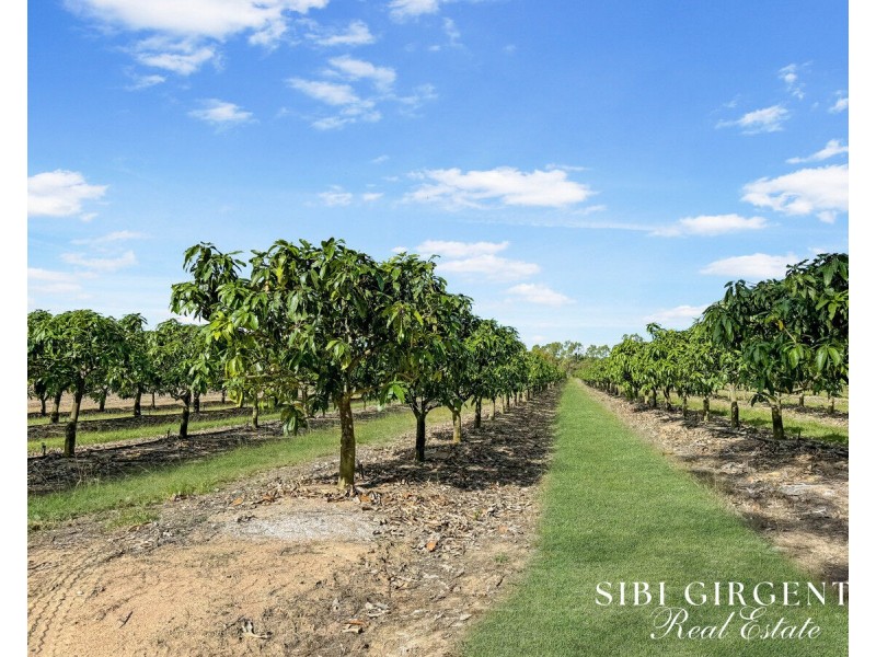 111 McLeod Road, Mutchilba QLD 4872