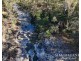 137 Lemontree Drive, Mutchilba QLD 4872
