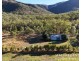 137 Lemontree Drive, Mutchilba QLD 4872