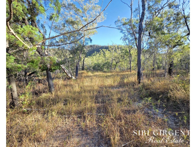 137 Lemontree Drive, Mutchilba QLD 4872