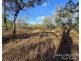 137 Lemontree Drive, Mutchilba QLD 4872