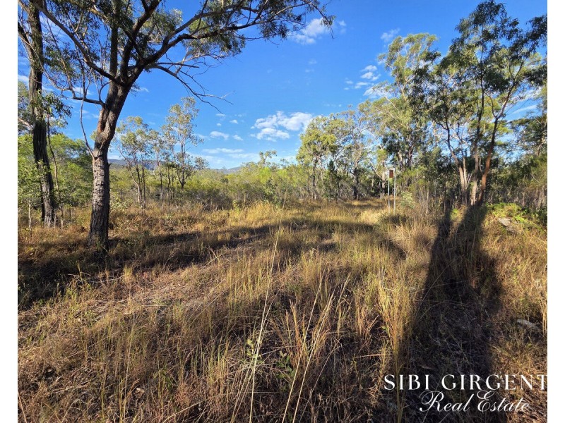 137 Lemontree Drive, Mutchilba QLD 4872