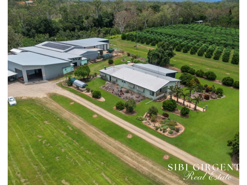 733 Bilwon Road, Biboohra QLD 4880