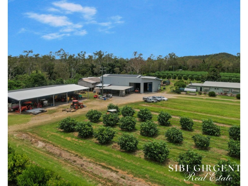 733 Bilwon Road, Biboohra QLD 4880