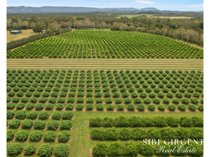 733 Bilwon Road, Biboohra QLD 4880