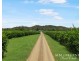 733 Bilwon Road, Biboohra QLD 4880