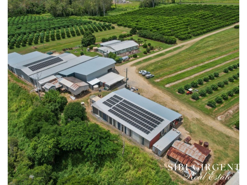 733 Bilwon Road, Biboohra QLD 4880