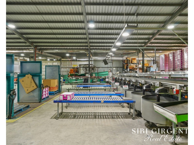 733 Bilwon Road, Biboohra QLD 4880