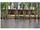 56 Cypress Road, Biboohra QLD 4880