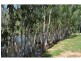 56 Cypress Road, Biboohra QLD 4880