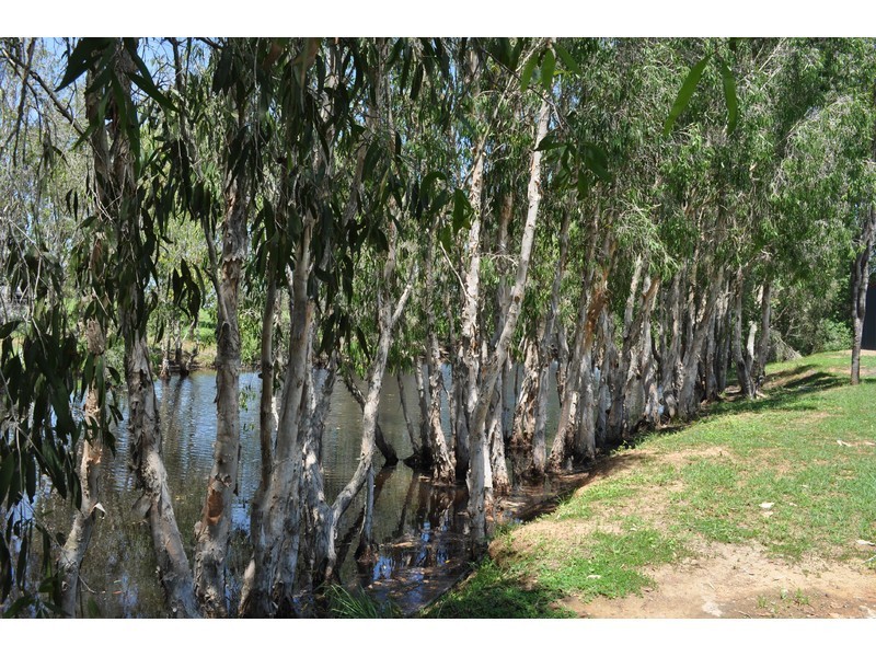 56 Cypress Road, Biboohra QLD 4880