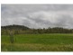 836 Wolfram Road, Dimbulah QLD 4872