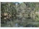 836 Wolfram Road, Dimbulah QLD 4872
