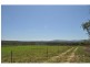836 Wolfram Road, Dimbulah QLD 4872