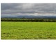 Lot 305,  Bellevue Drive, Mareeba QLD 4880