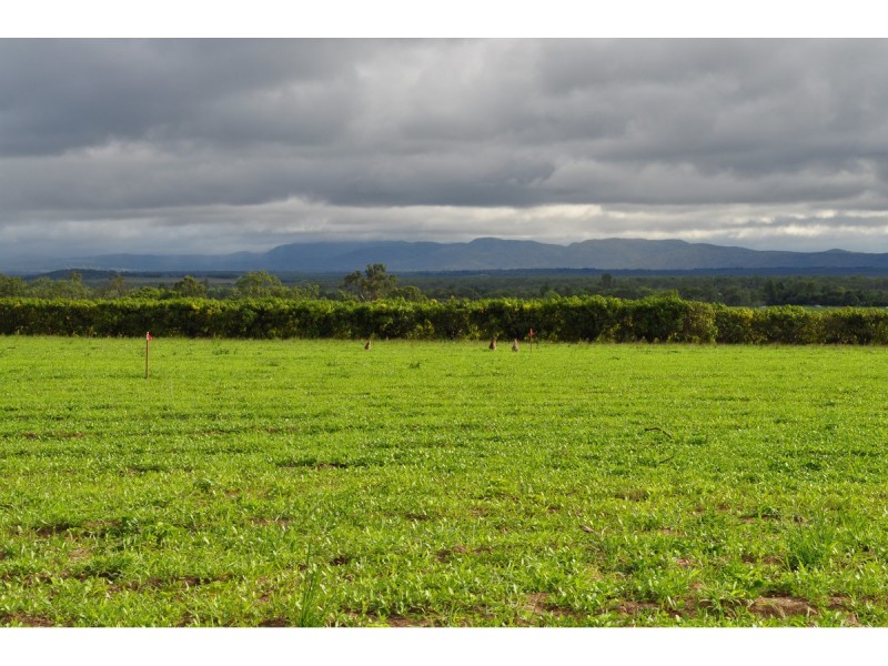 Lot 305,  Bellevue Drive, Mareeba QLD 4880