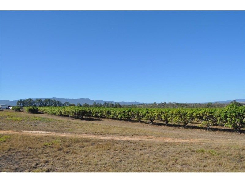 Lot 311,  Bellevue Drive, Mareeba QLD 4880