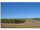 Lot 311,  Bellevue Drive, Mareeba QLD 4880