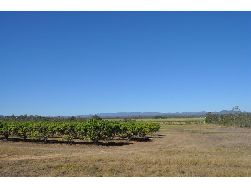 Lot 311,  Bellevue Drive, Mareeba QLD 4880
