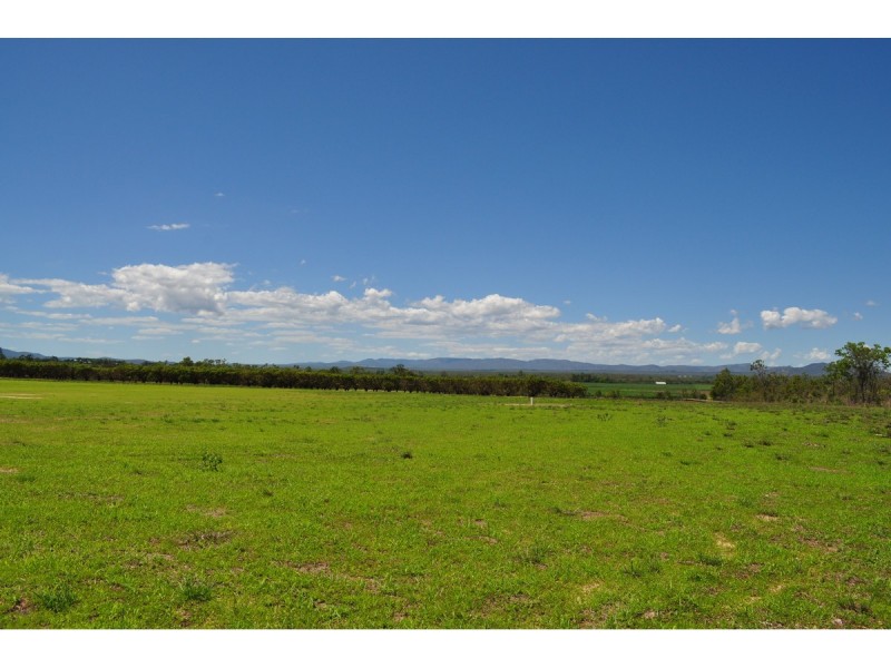 Lot 311,  Bellevue Drive, Mareeba QLD 4880