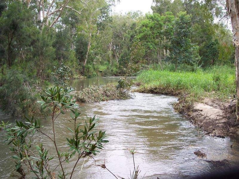 323 Malone Road, Mareeba QLD 4880