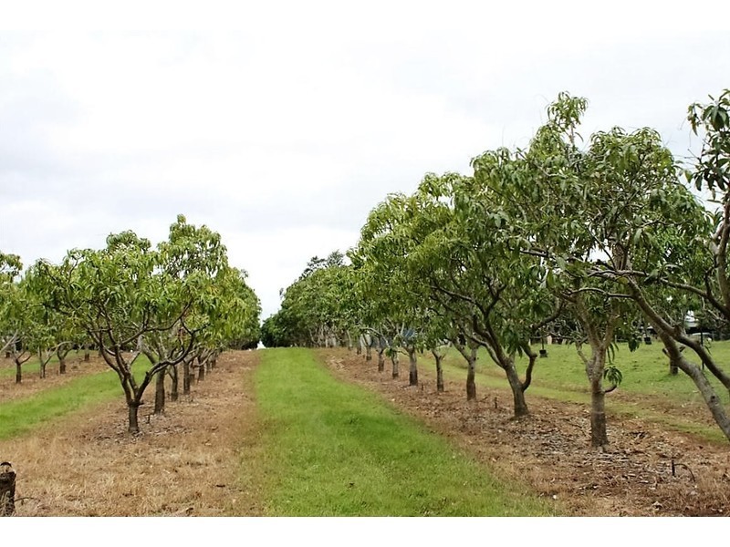 59 Malone Road, Mareeba QLD 4880