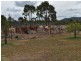 164/ Springmount Weir Road, Mareeba QLD 4880
