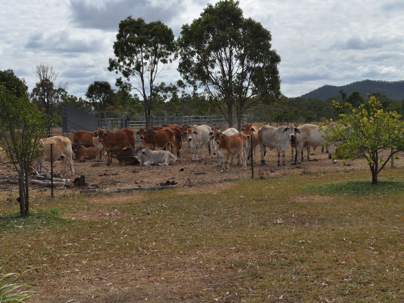 164/ Springmount Weir Road, Mareeba QLD 4880