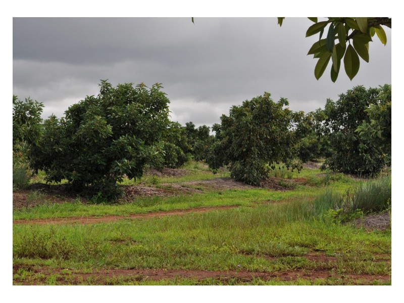 446 Chewko, Mareeba QLD 4880