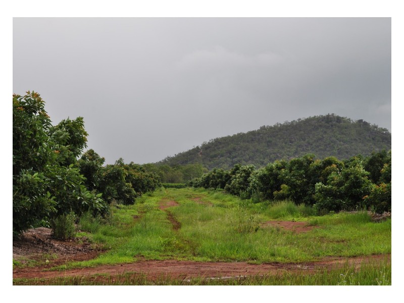 446 Chewko, Mareeba QLD 4880